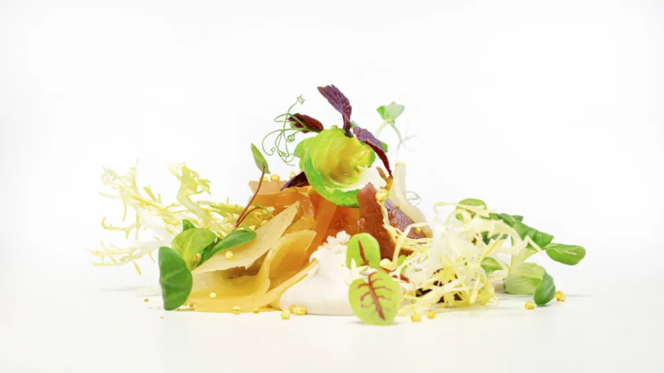 Angerichtete Vorspeise mit Blattsalaten, Kräutern und Sprossen