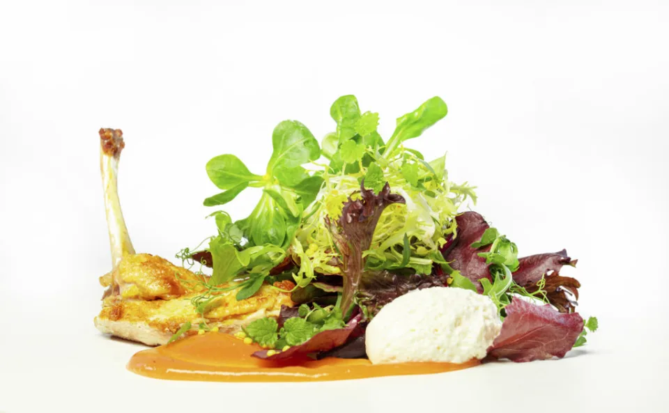 Gebratenes Geflügel mit Blattsalat, Frischkäsenocke und Sauce